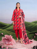 Ruby Red Dhanak 3-Piece Suit worn by a model in a scenic outdoor setting with a pink flower accent.